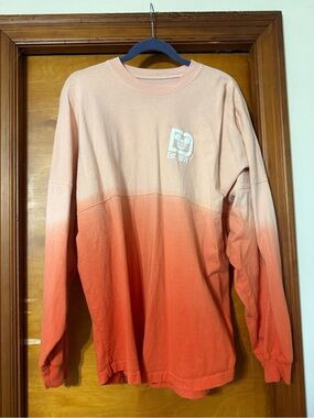 Walt Disney World Spirit Jersey Large
